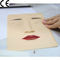 3D十分に皮を剥がれたシミュレーションの入れ墨の練習の皮は、入れ墨のための擬似皮練習します