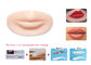 シリコーンの4Dモジュールを訓練する唇のための耐久の永久的な構造の練習の皮